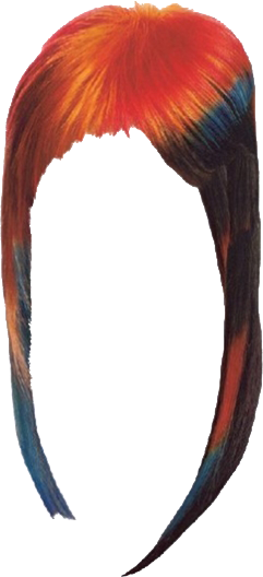Women False Hair PNG Makeup Element (39)