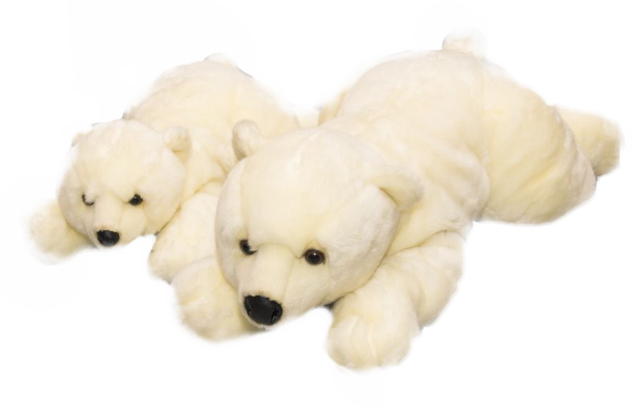 Teddy Bears Image (7)