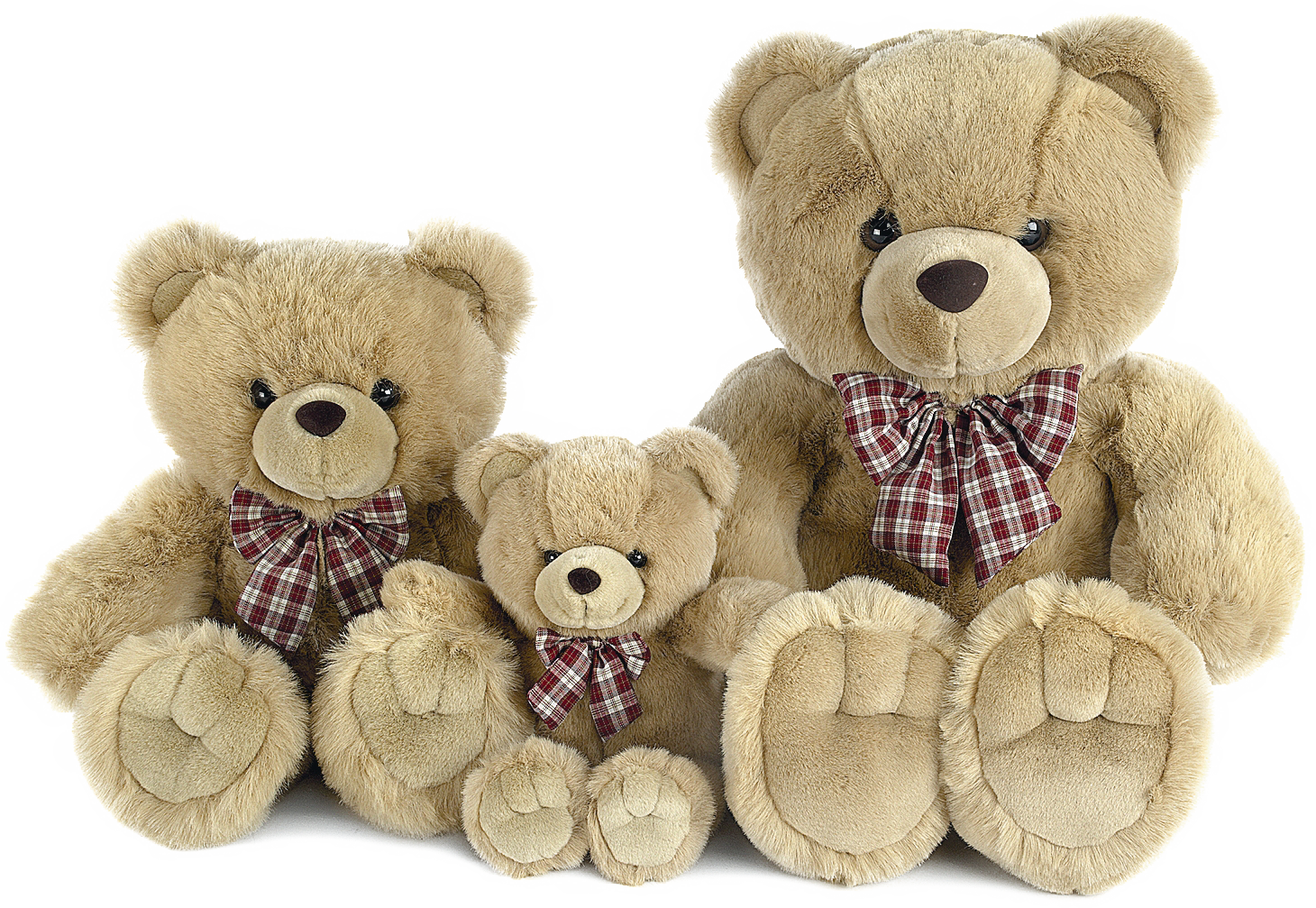 Teddy Bears Image (8)