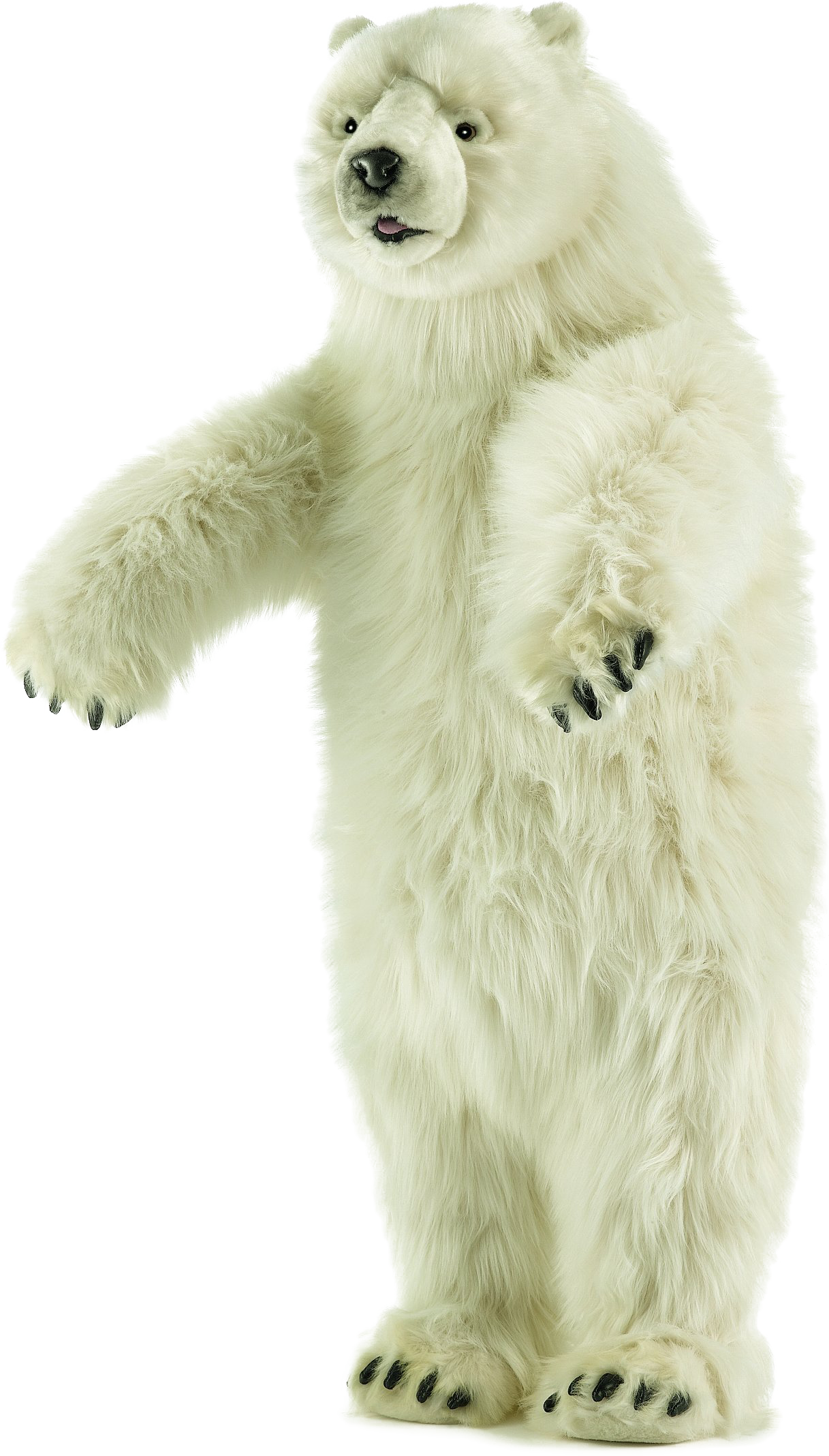 Teddy Bears Image (10)