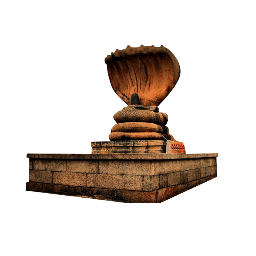 Nag Panchami (4)