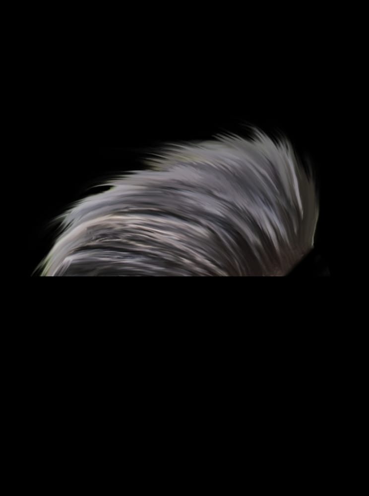 Hair Style on Dark