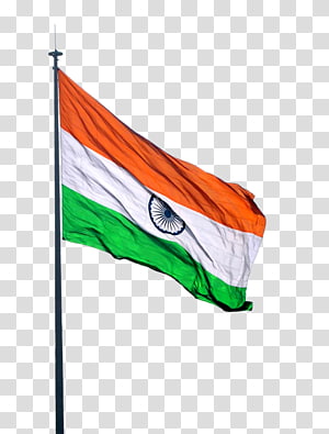 Indian Flag image