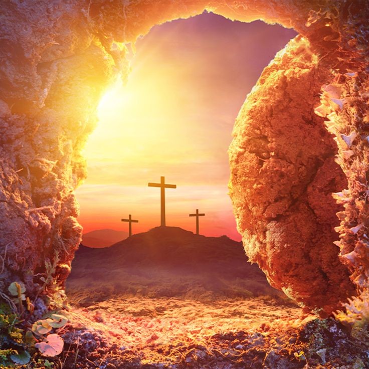 Custom Church Background Image (4)