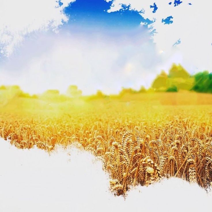 Custom Church Background Image (18)