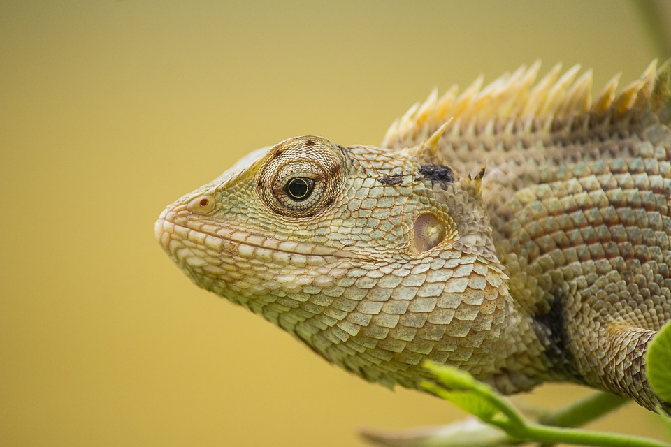 attractive image background natural life style (1)