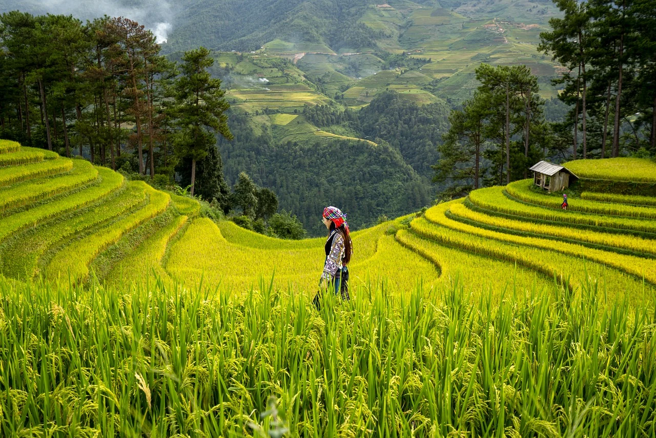 attractive image background natural life style (3)