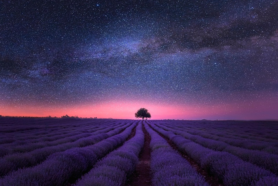 attractive image background natural life style (13)