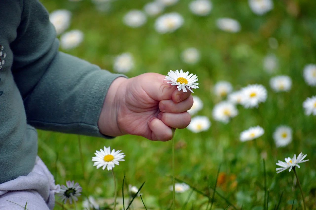 attractive image background natural life style (14)