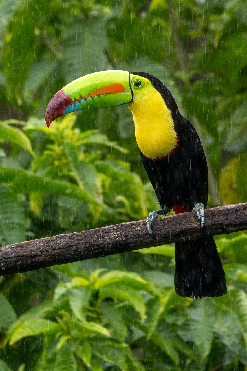 attractive image background natural life style (16)