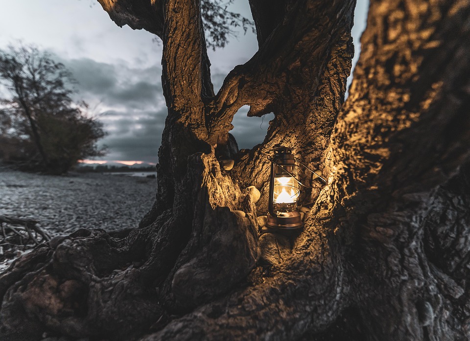 attractive image background natural life style (22)