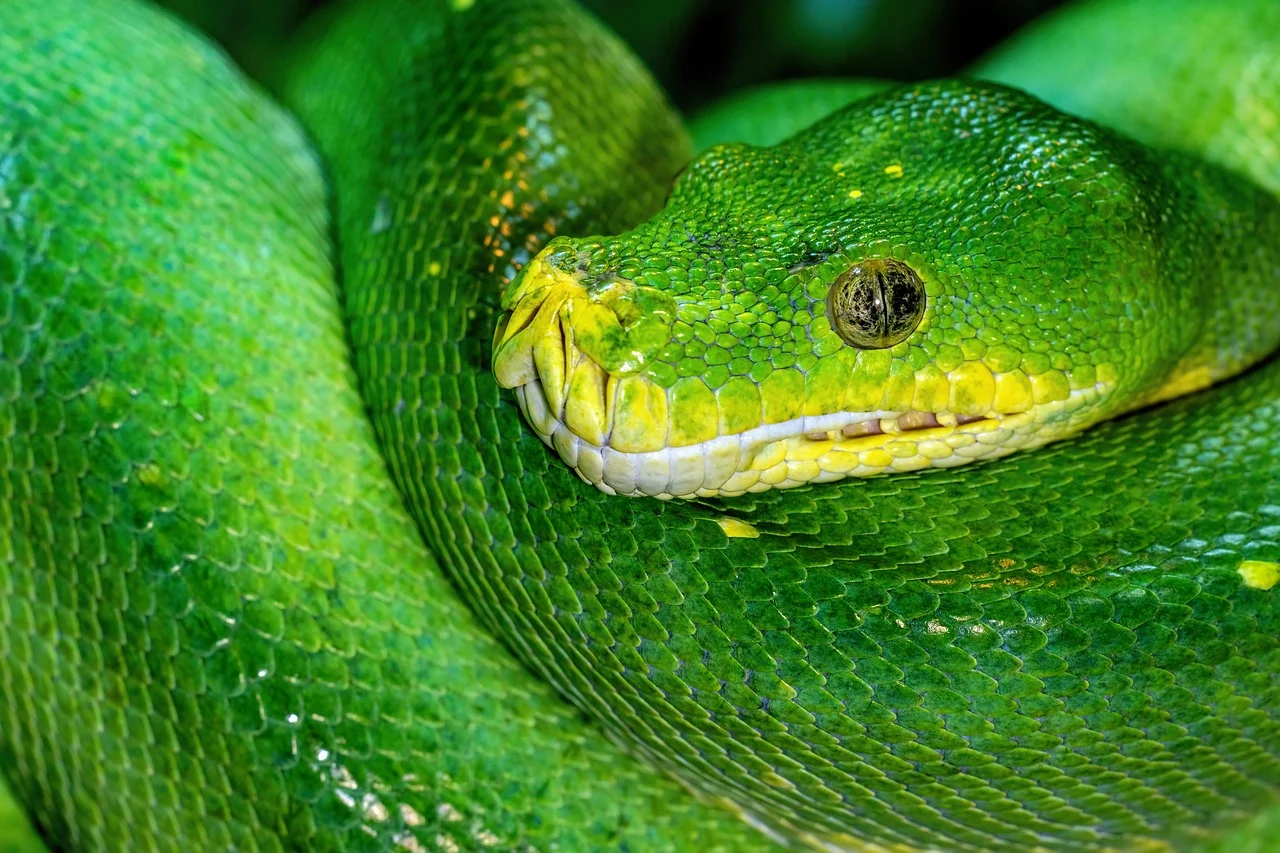 attractive image background natural life style (22)