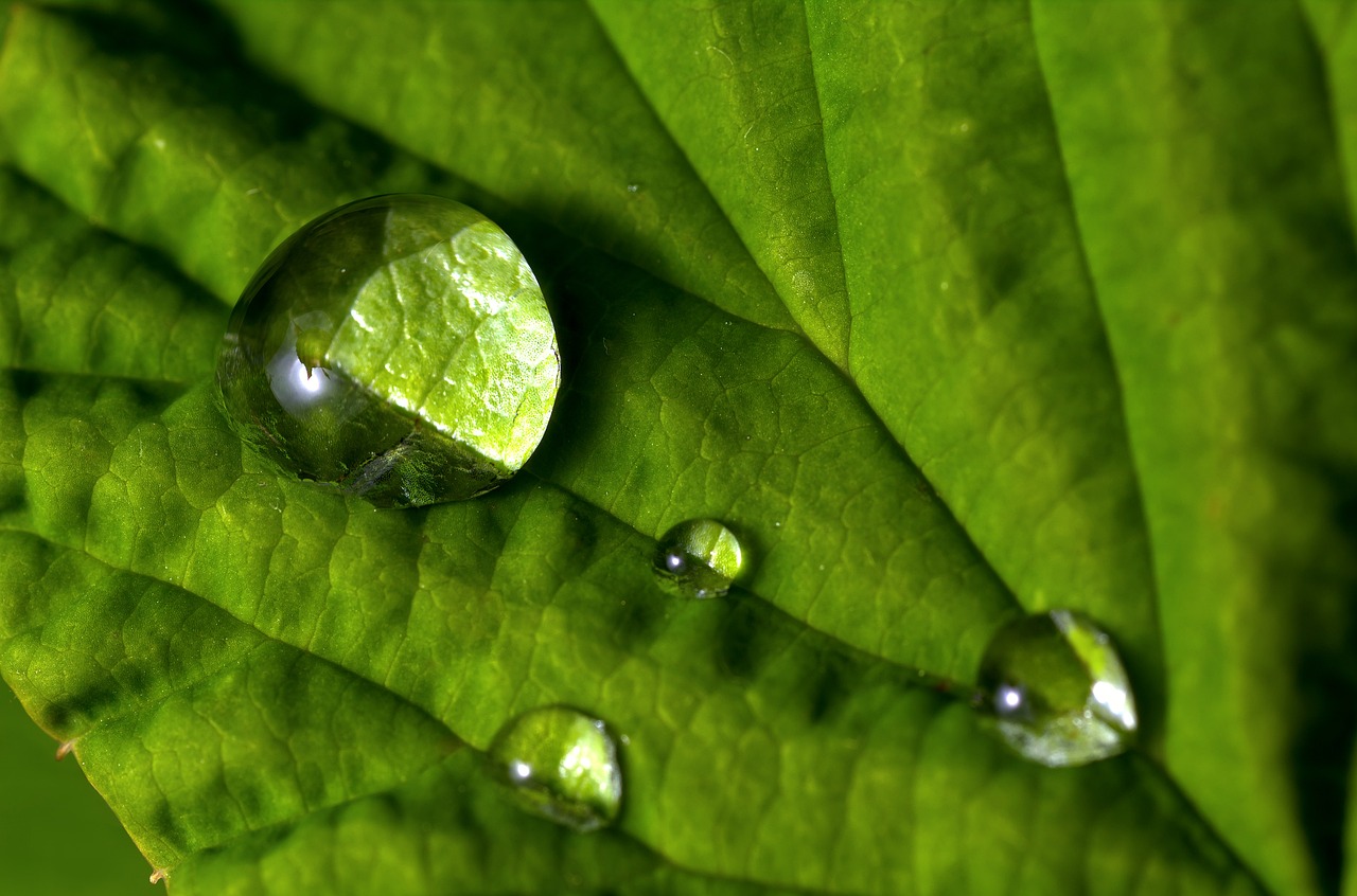 attractive image background natural life style (23)