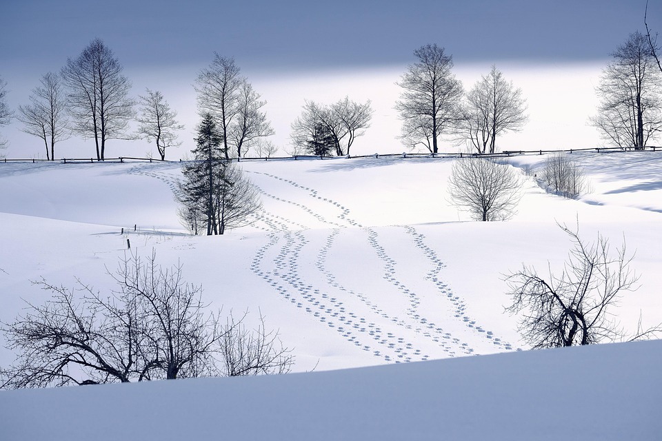 attractive image background natural life style (25)