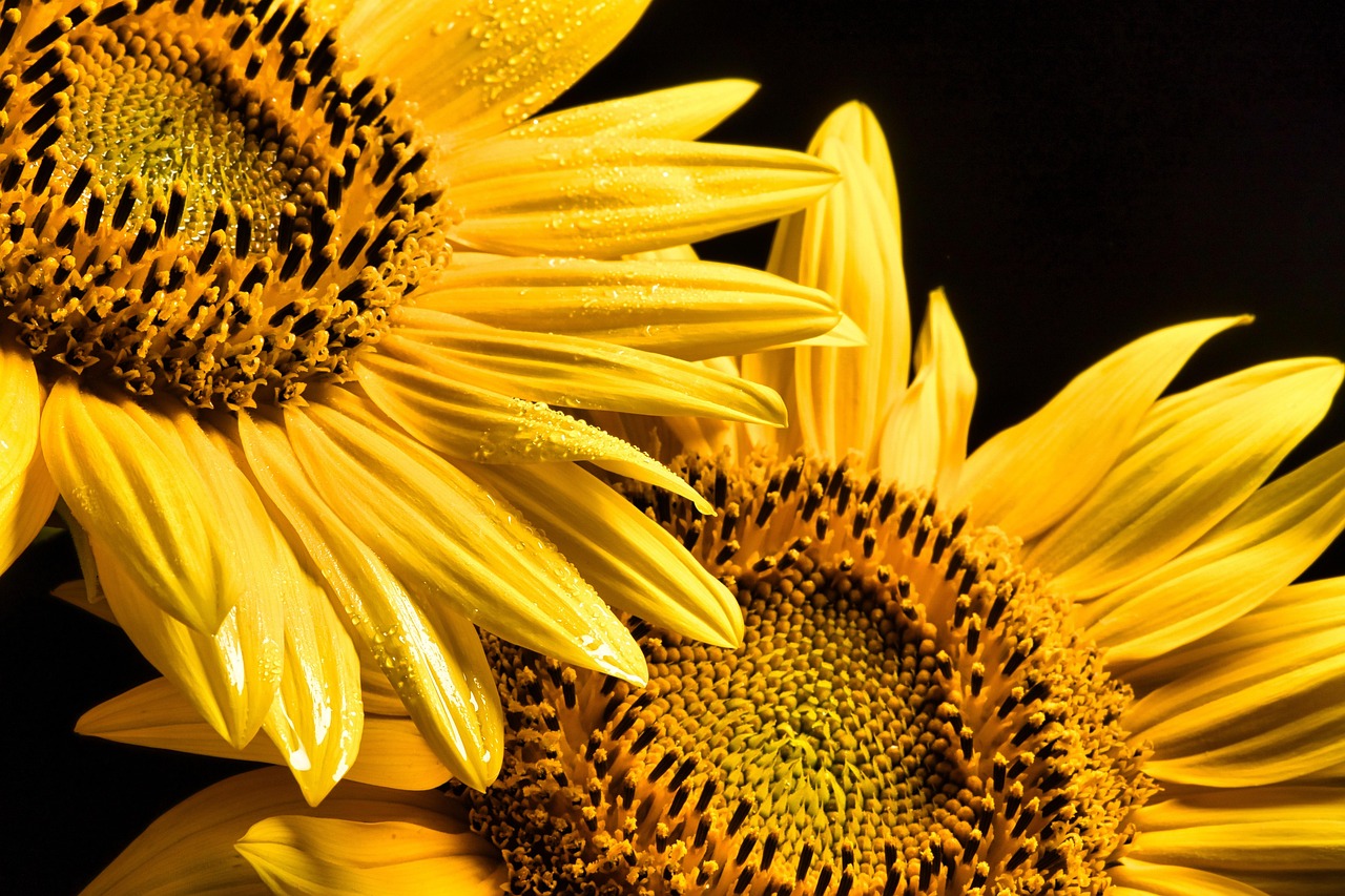 attractive image background natural life style (29)