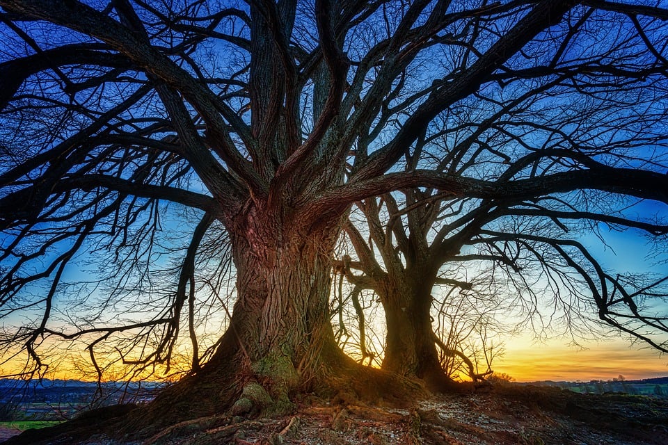 attractive image background natural life style (32)