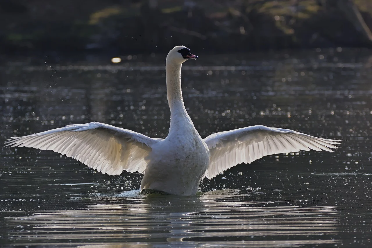 attractive image background natural life style (32)