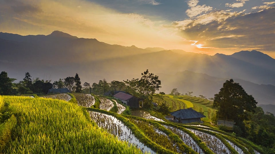 attractive image background natural life style (34)