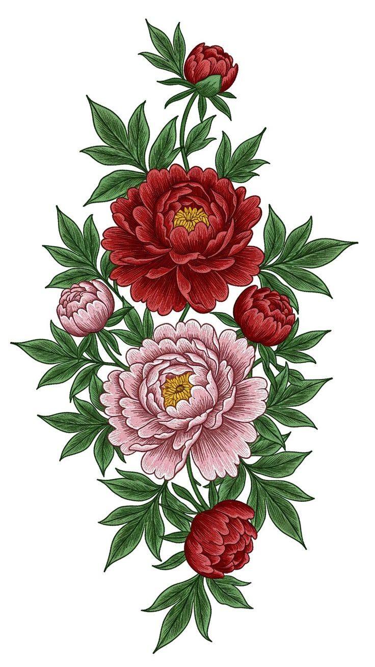 Floral illustration DEsign Image (12)