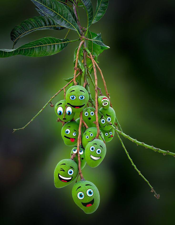Green Mango kids Image