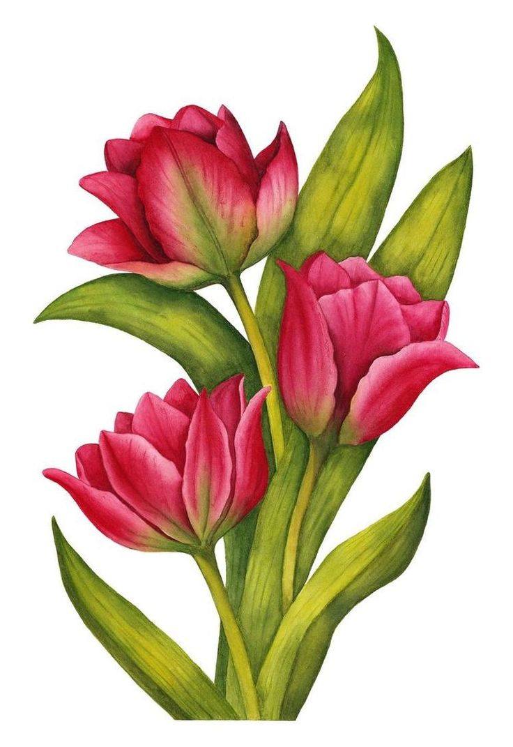 Create Floral Art Image (20)
