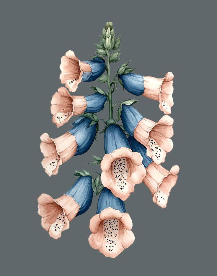 Create Floral Art Image (41)
