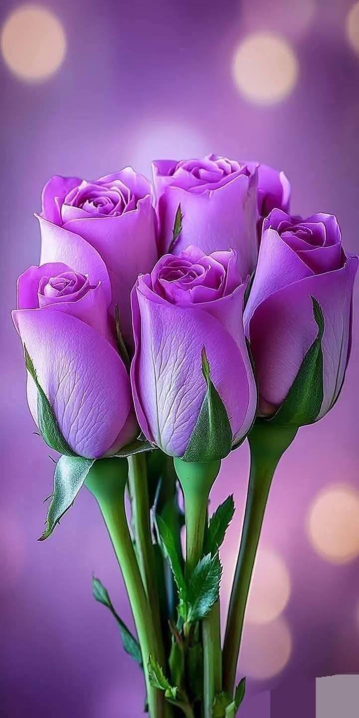 Cool & Creative Mobile Wallpaper (64)