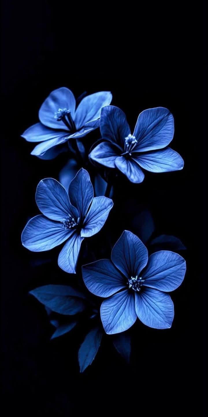 Cool & Creative Mobile Wallpaper (80)