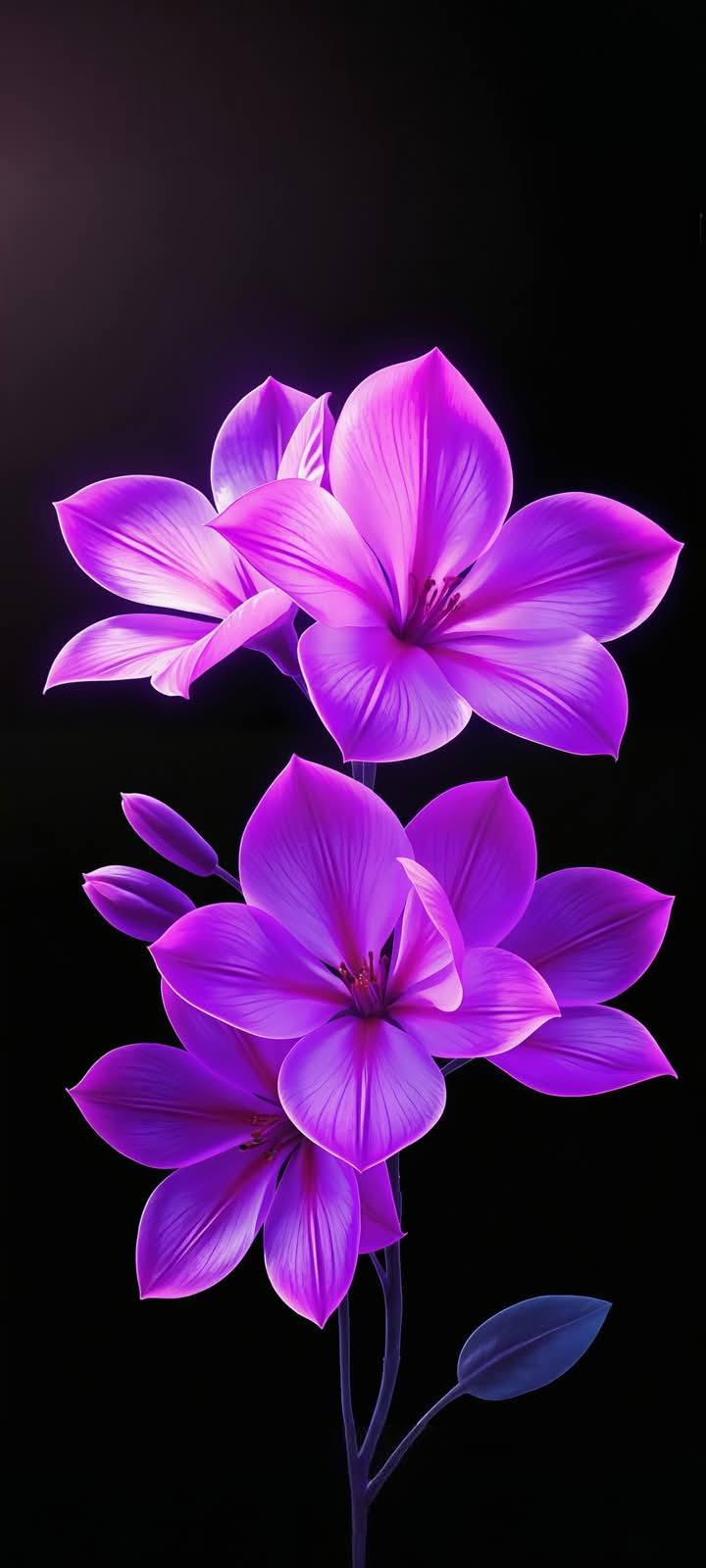 Cool & Creative Mobile Wallpaper (92)