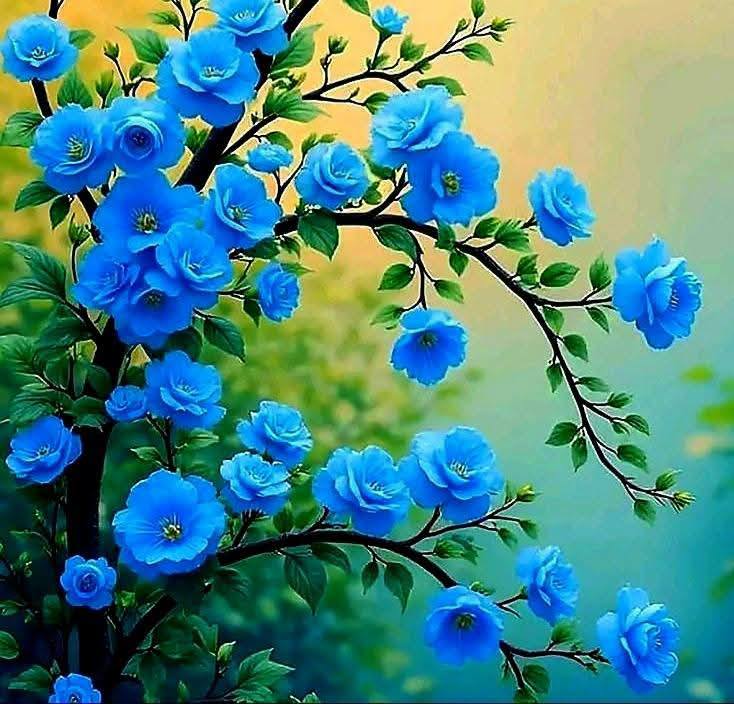 Creative Resource Collection Blue Feect (4)