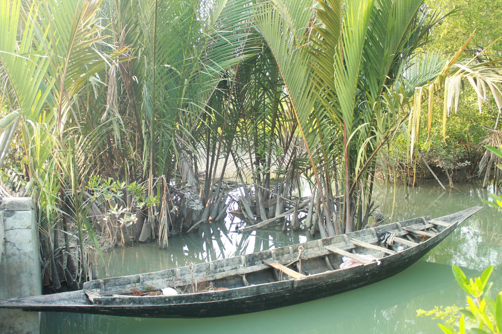 Sundorbon The Largest Mangrove Forest at Bangladesh