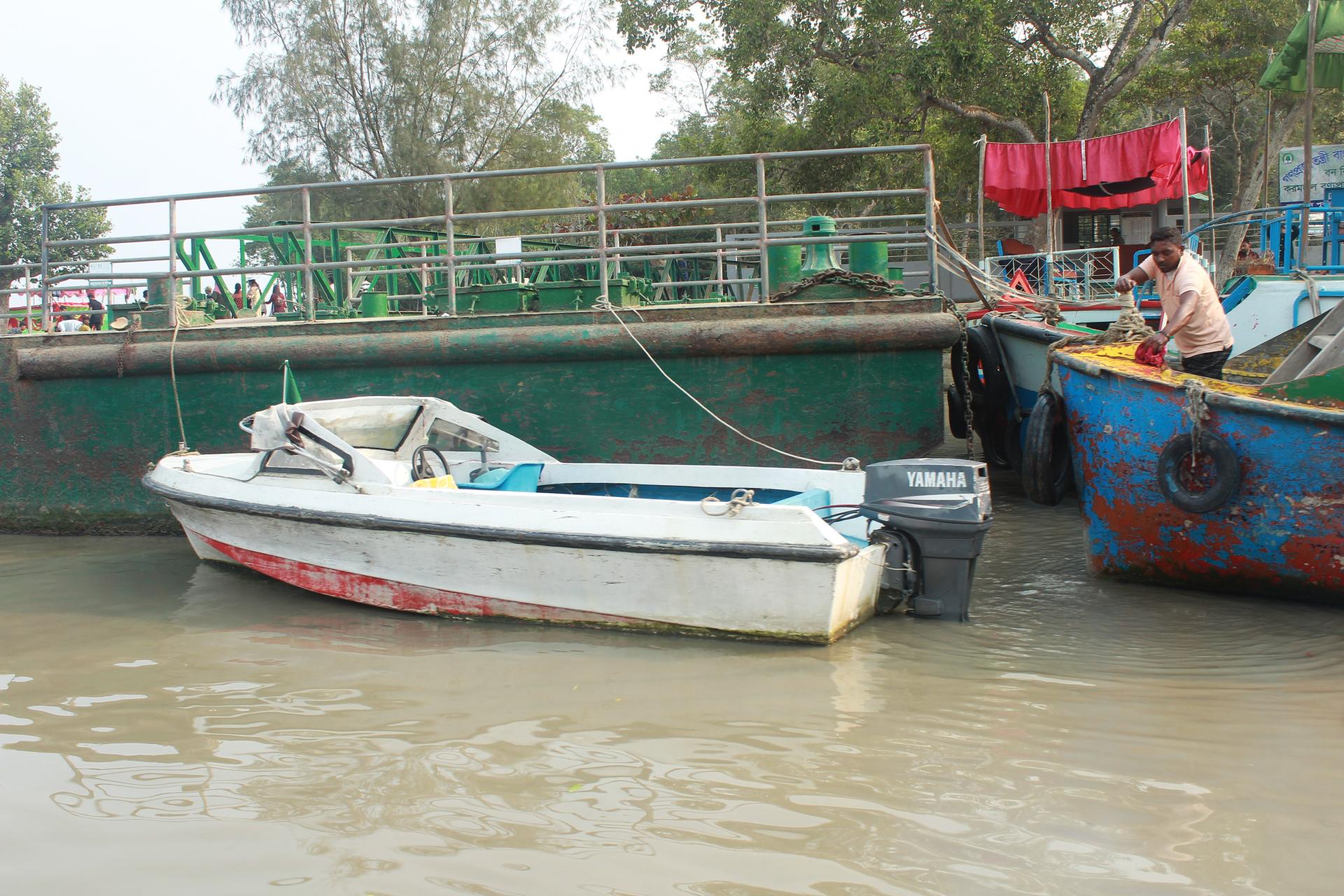 Sundorbon The Largest Mangrove Forest at Bangladesh