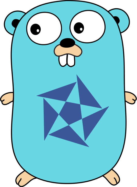 golang 5