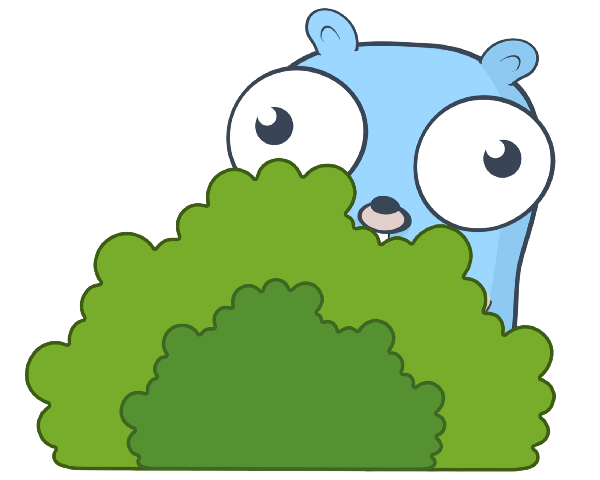 golang 45