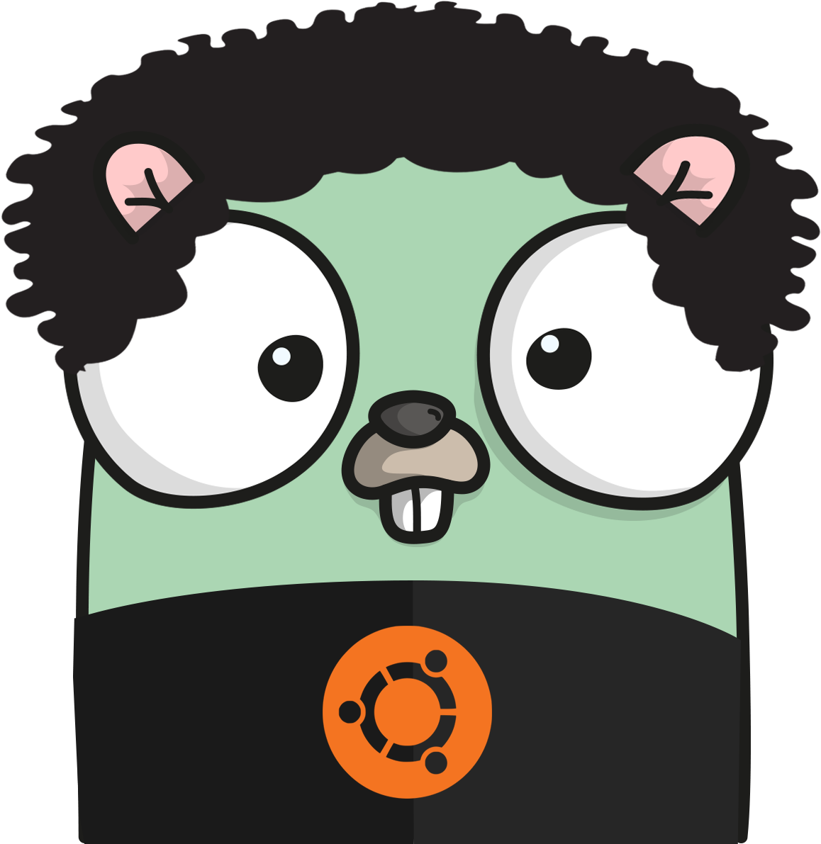 golang 62