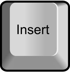 insert