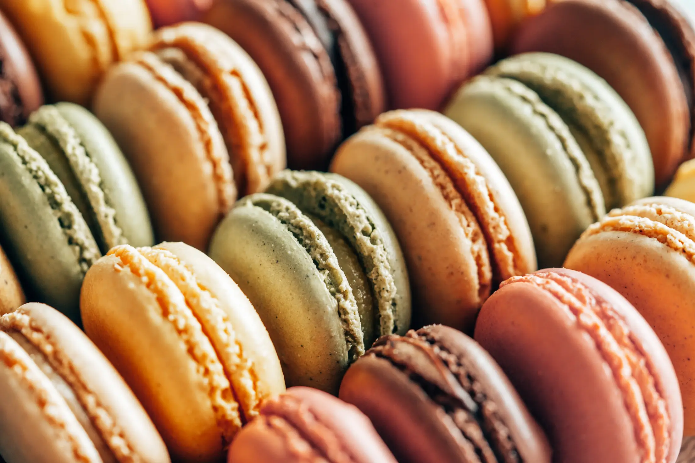 a lot of macarons in a row free photo