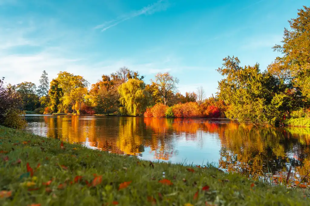 beautiful lednice castle park in fall free image